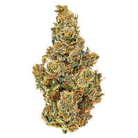 Coast Mountain Cannabis - BC Organic Dancehall