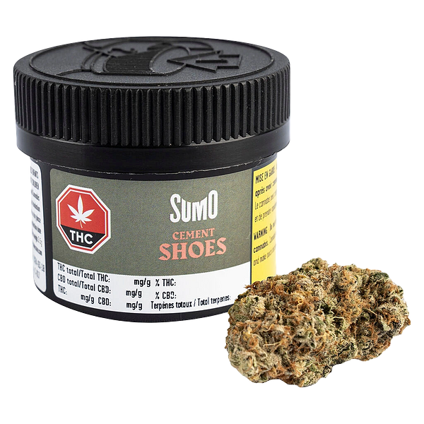 SUMO - Cement Shoes