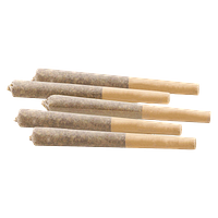 Woody Nelson - Flight 525 Pre-Rolls