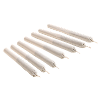 Super Toast - Citrus Abduction Hoagies Pre-rolls