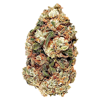 BC Green - Frosted Gumbo