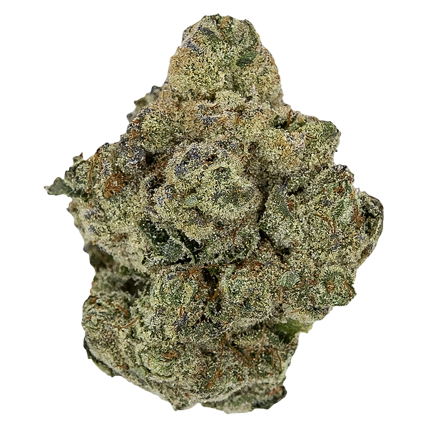 Pistol and Paris - Rockstar