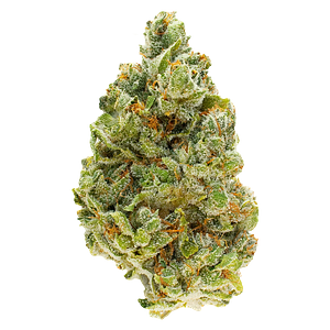 FOUR54 - Strawberry Pavé