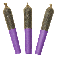 Dab Bods - Motor Breath 60's+ Dbl Infused Pre-Rolls