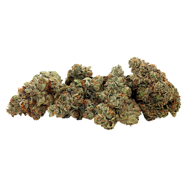 GreenSeal - Praline Gelato Hybrid