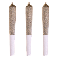 Potluck - Blueberry Tart Pre-Roll