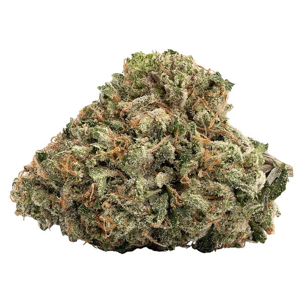 WINK - Gas Nasty (BMS x GMO) 