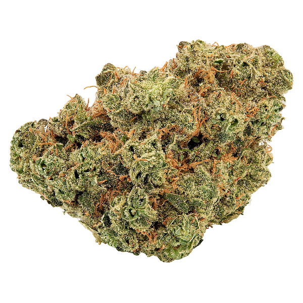 Trailblazer - Lemonade Haze