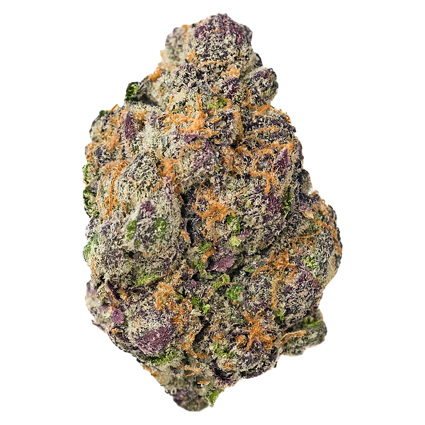 Kolab Project - Exotics