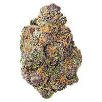 Kolab Project - Exotics