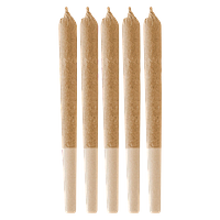 Retro Haze - Jack Herer Pre-Roll