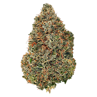 Bud Lafleur - Poison Kush