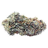 Terp Town Collective - Frosty Melonz