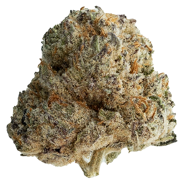 Original Dankster - OPS