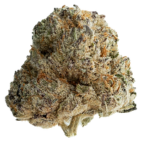 Original Dankster - OPS