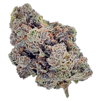 HighXotic - Royal Dive #4: Goofiez