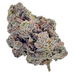 HighXotic - Royal Dive #4: Goofiez