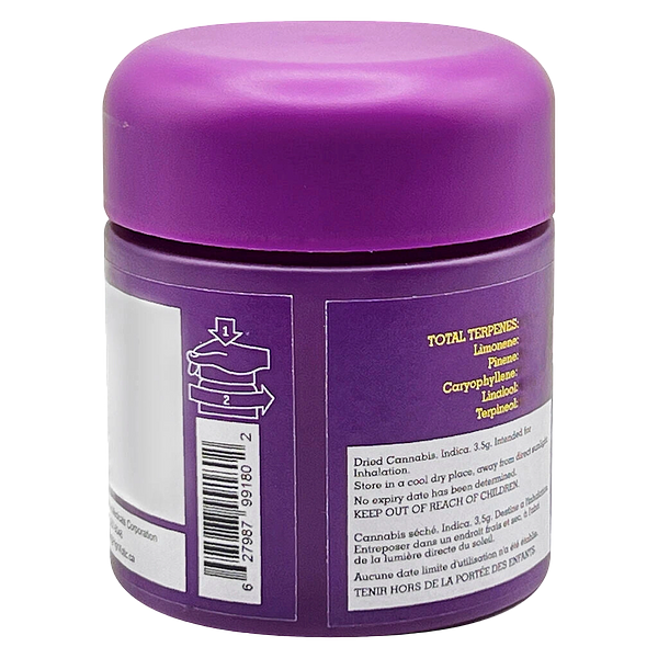 HighXotic - Royal Dive #4: Goofiez