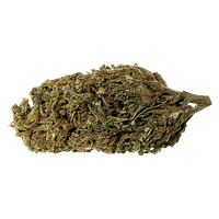 Abide - Lemon Sapphire