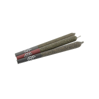 Rocket Factory - Test Flight - Three Stage Pre-Roll