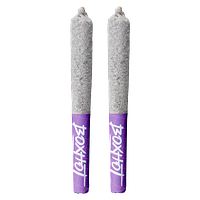 BOXHOT - Diamond Doobies - Tangerine Scream Infused Pre-Rolls