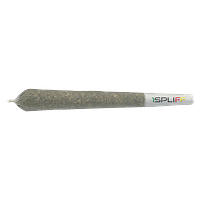 1Spliff - Biscotti Pre-roll