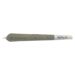1Spliff - Biscotti Pre-roll