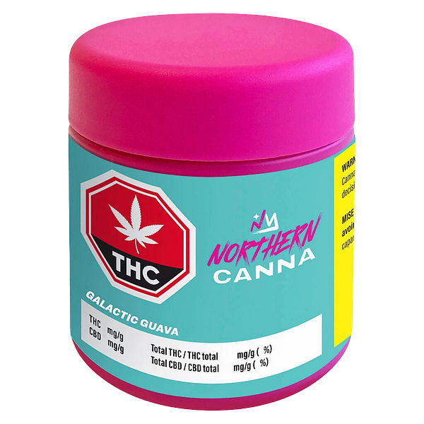 Northern Canna - Galactic Guava