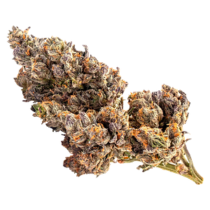 Baggies - Sativa Bag