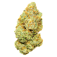 Palmetto - Sweet Deep Grapefruit