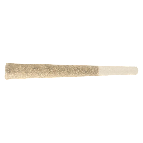 TERPi - Purple Twist Infused Pre-Roll