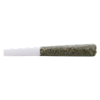Pure Laine - Terpies Tangerine Dream Infused Pre-roll
