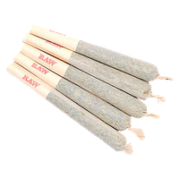 Sixty Seven Sins - Gary Satan Pre-Roll