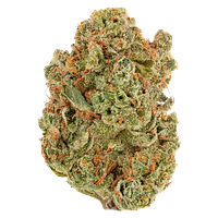 Sheeesh! - Double Bubbs