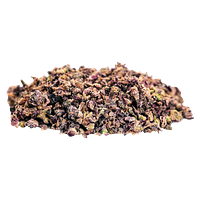 Tenzo - Sweet Dreams