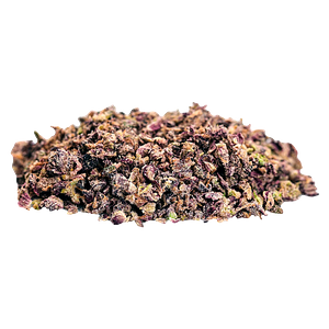 Tenzo - Sweet Dreams