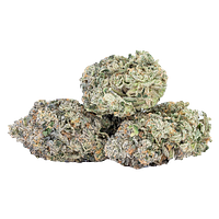 Sixty Seven Sins - Fishy Fingers