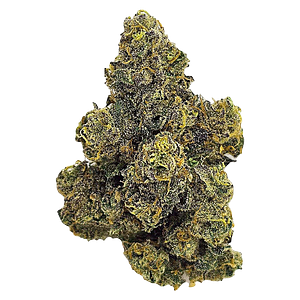 Unit 15 - Purple Octane