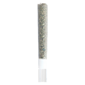 3rd Coast Genetics - Michigan Melonz Glass Tip Pre Roll