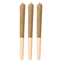 Bud Lafleur - Detroit Runtz Pre-roll