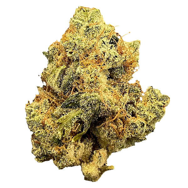 Mailman - Ultraviolet GMO