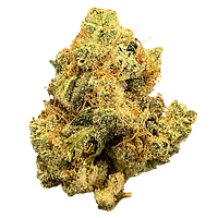 Mailman - Ultraviolet GMO