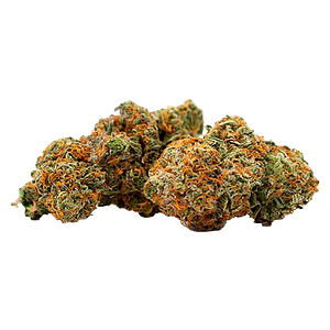 Buzz'd - Honey OG