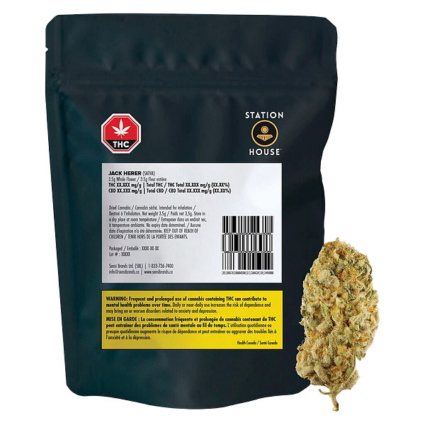 Station House - Jack Herer