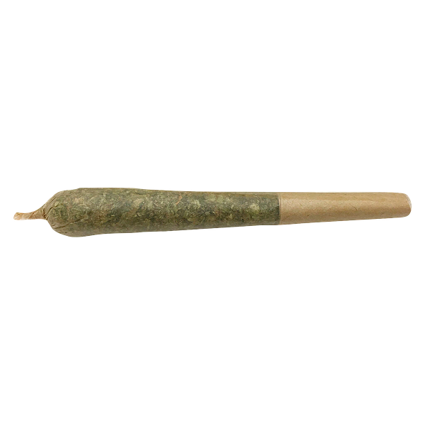 Mailman - Future Island Pre-Roll