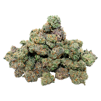 After Hours - Jamaican Funk