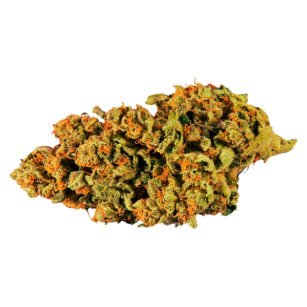 Paw't Shop - Dawg Walker