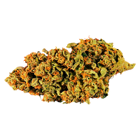 Paw't Shop - Dawg Walker