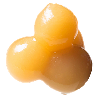 Astrolab - Dosi Punch - 90u Premium Cold Cure Live Rosin