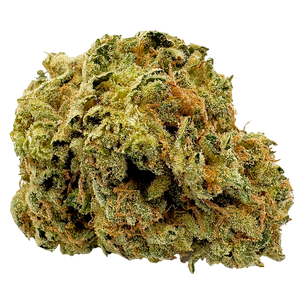 Viola - 1st Quarter (Sativa)